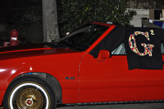49ers G2 Hoodie
